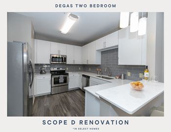 Scope D Renovation