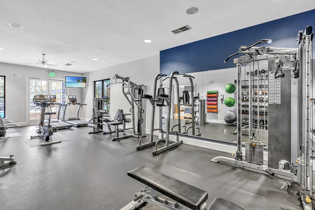 a gym with cardio machines and weights on the floor and a wall of gym equipment
