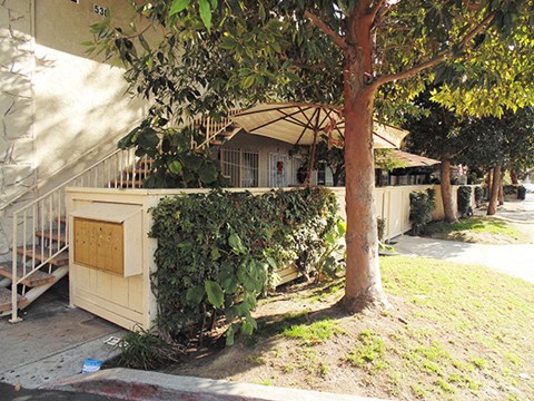 a house with a fence and a tree