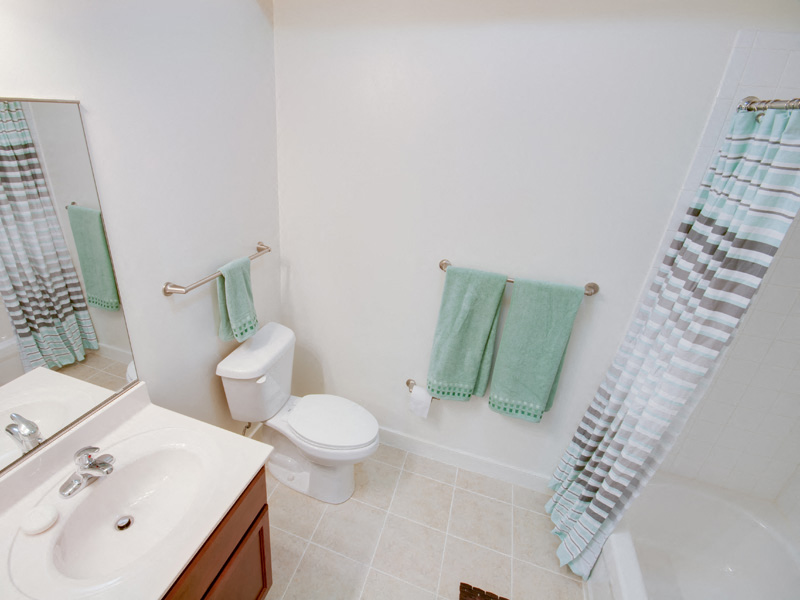 Riverwoods at Tollgate Model Bathroom