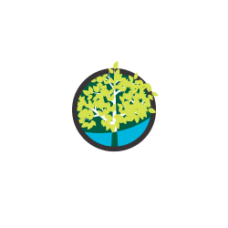 Riverwoods at St. Michaels Logo