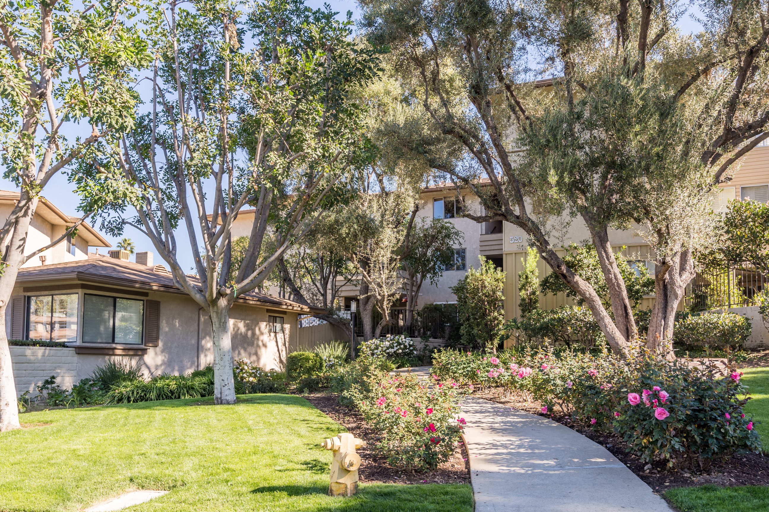 Photos and Video of Orange Grove in Pasadena, CA