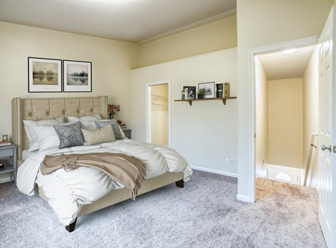 a bedroom with a bed and a door to a closet