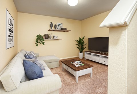 a living room with a couch and a coffee table and a television