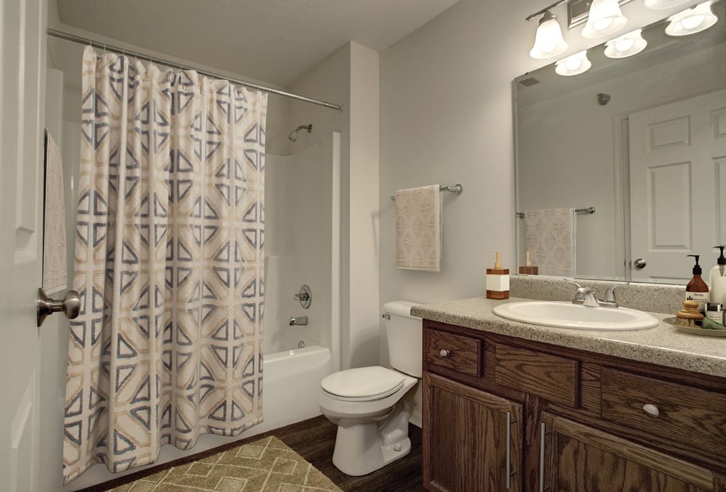 a bathroom with a shower toilet and sink and a mirror