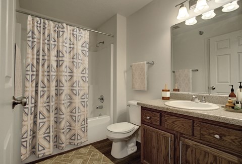 a bathroom with a shower toilet and sink and a mirror