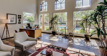 445 S Dobson Road 1-2 Beds Apartment for Rent - Photo Gallery 2