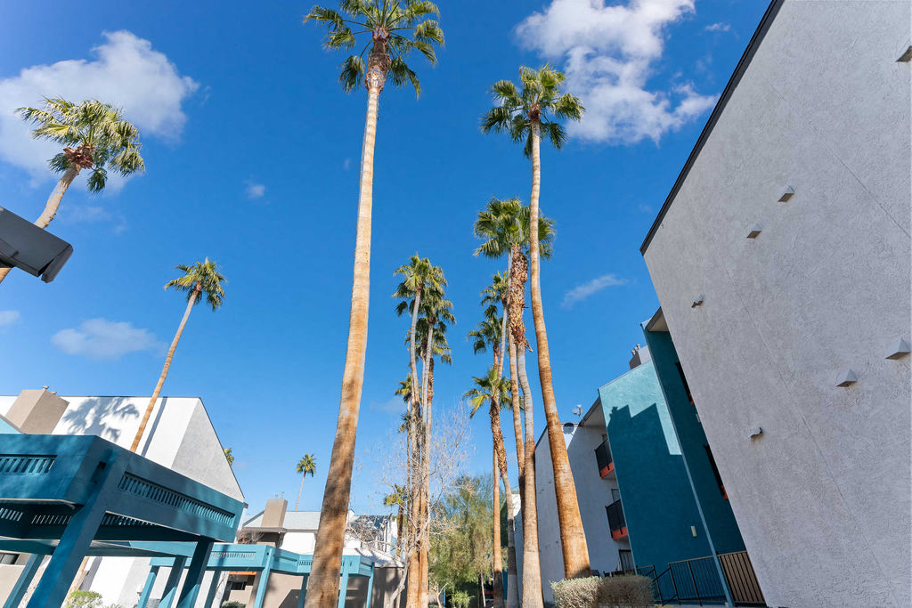 Aspen Meadows Apartments