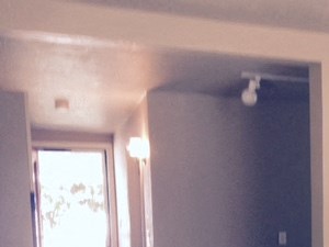 155.5 N. 3rd St. 1 Bed Apartment, Home for Rent - Photo Gallery 3