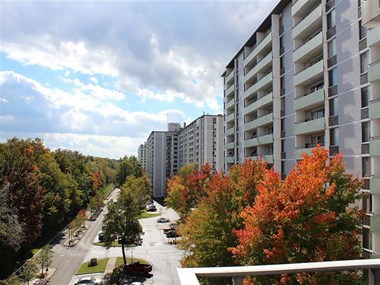 6807 Mayfield Rd 1-2 Beds Apartment for Rent - Photo Gallery 1