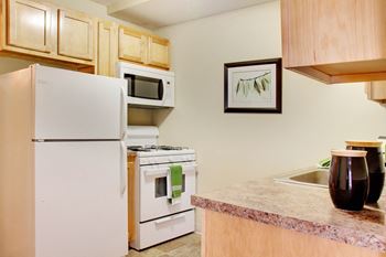 Brand New Kitchen