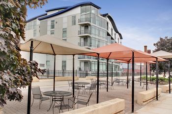Grilling and Patio Area
