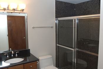 Black Granite Countertops and Floors in the Kitchen and Bathrooms