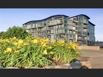 1500 Detroit Ave 2 Beds Apartment for Rent - Photo Gallery 2