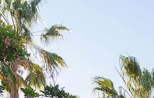 Apartments In Santa Barbara Ca Sumida Gardens Home