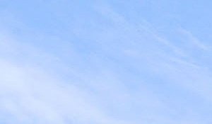 Aston Apartments In Wake Forest Nc