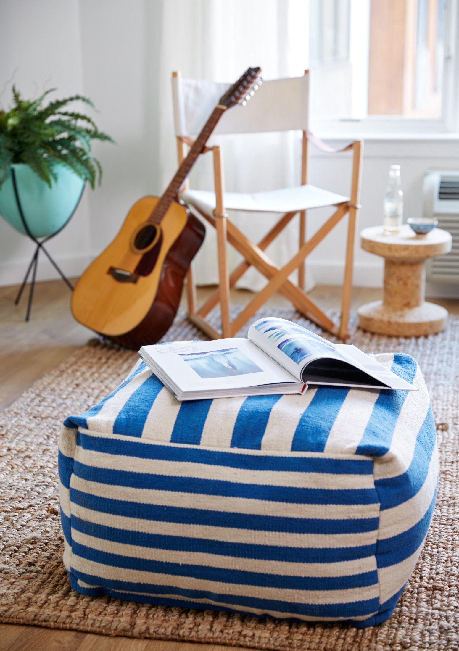 a blue and white striped sitting on a rug in a living room