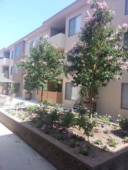 Apartments For Rent Near Lacm Rentcafé Apartment