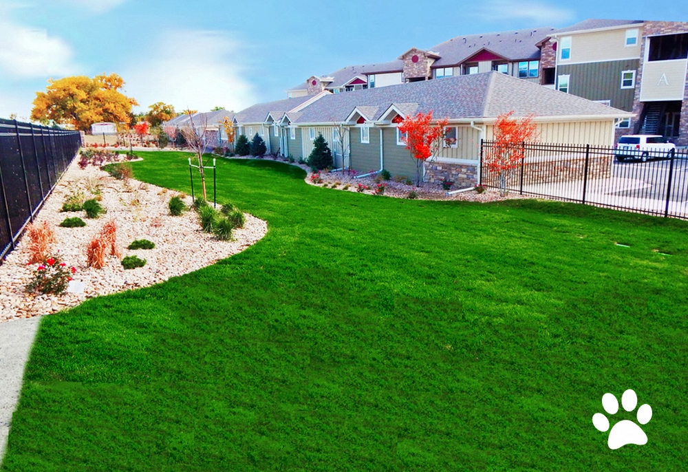 Ironhorse Apartments, 1600 Iron Horse Dr., Longmont, CO RentCafe