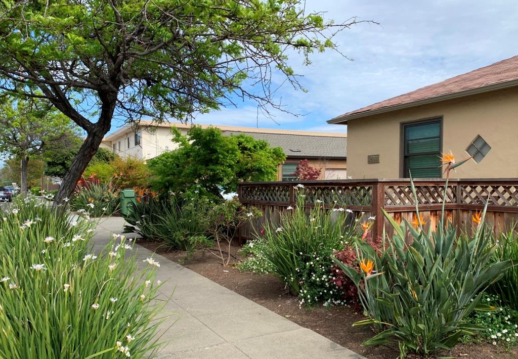 a garden in front of a house with a sidewalk