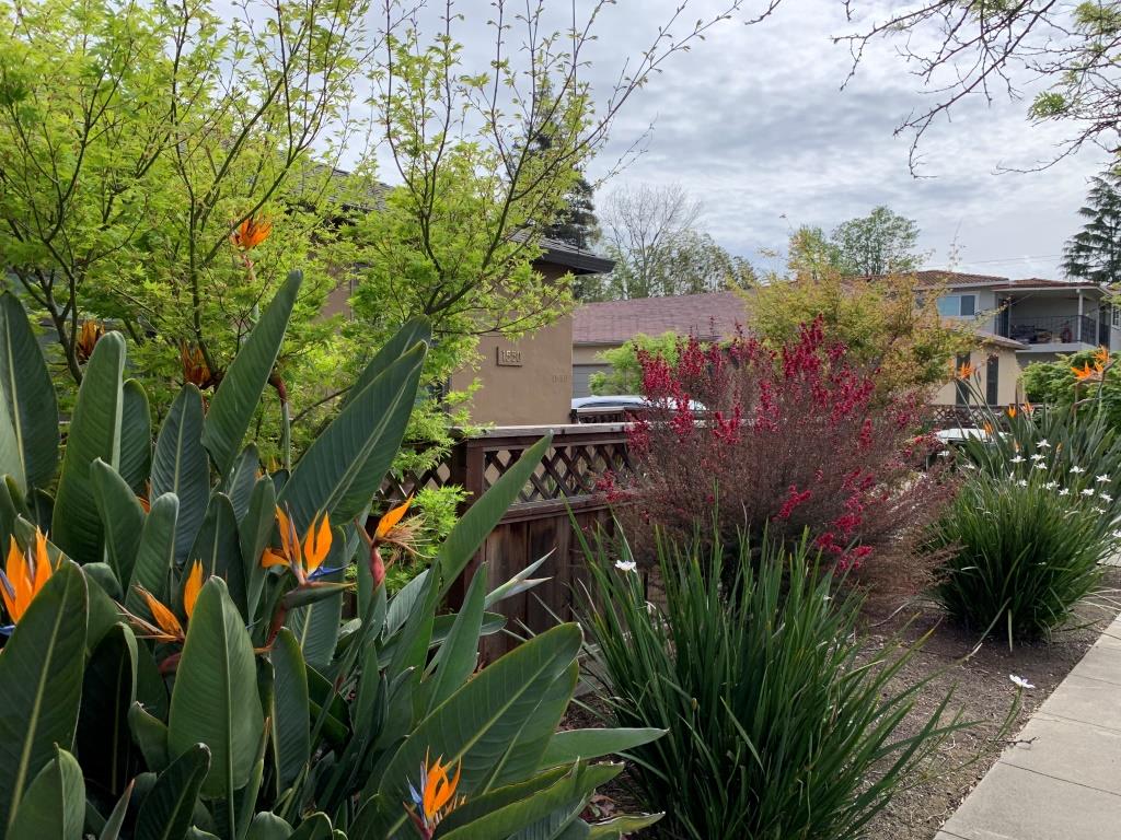 1550 Lewis Street - Streetscape 3