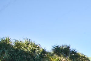 100 Best Apartments in Fort Walton Beach, FL (with reviews) | RENTCafé