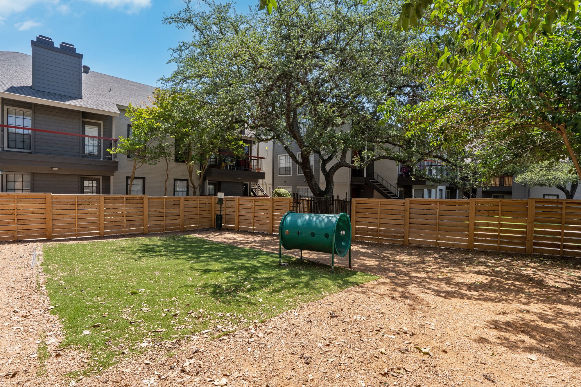 Dog Park, Park, Pets, Dogs