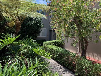 848 Blair Avenue 1-3 Beds Apartment for Rent - Photo Gallery 6