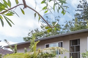 848 Blair Avenue 1-3 Beds Apartment for Rent - Photo Gallery 3