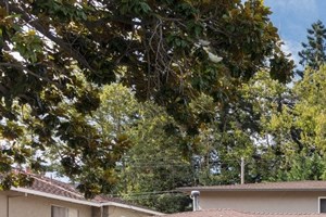 848 Blair Avenue 1-3 Beds Apartment for Rent - Photo Gallery 4