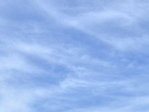 Cypress Gardens Apartments 1755 Klockner Rd Suite A Hamilton Nj