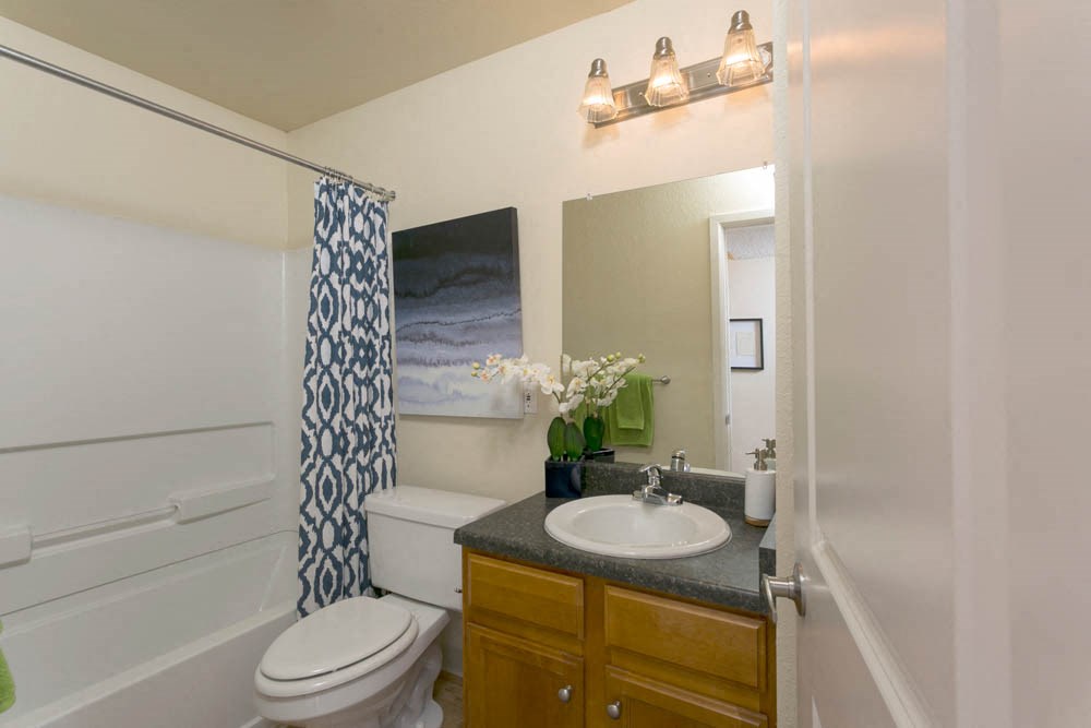 a bathroom with a sink and a toilet and a shower