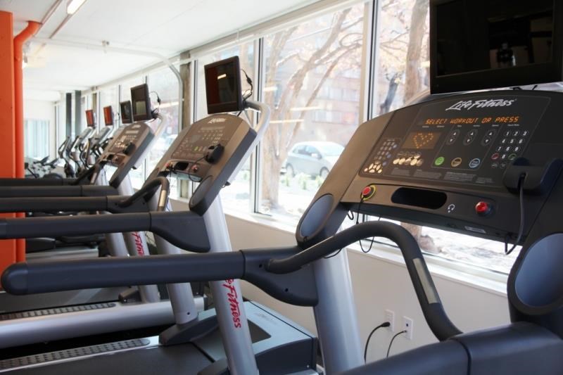 a row of cardio machines in a gym