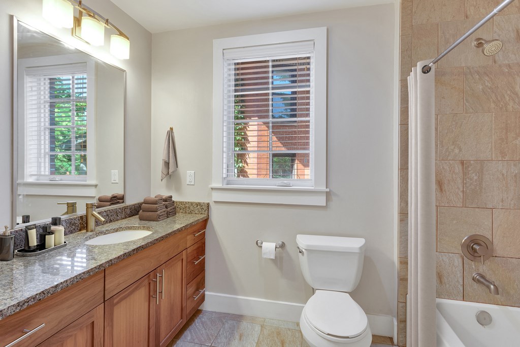 a bathroom with a shower toilet and sink and a mirror
