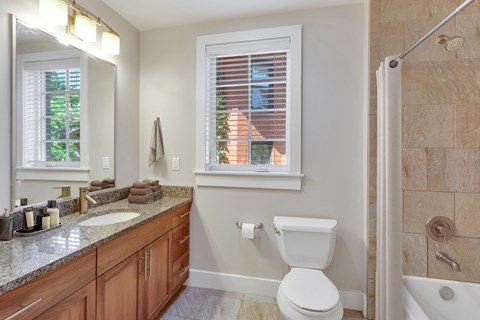 a bathroom with a shower toilet and sink and a mirror
