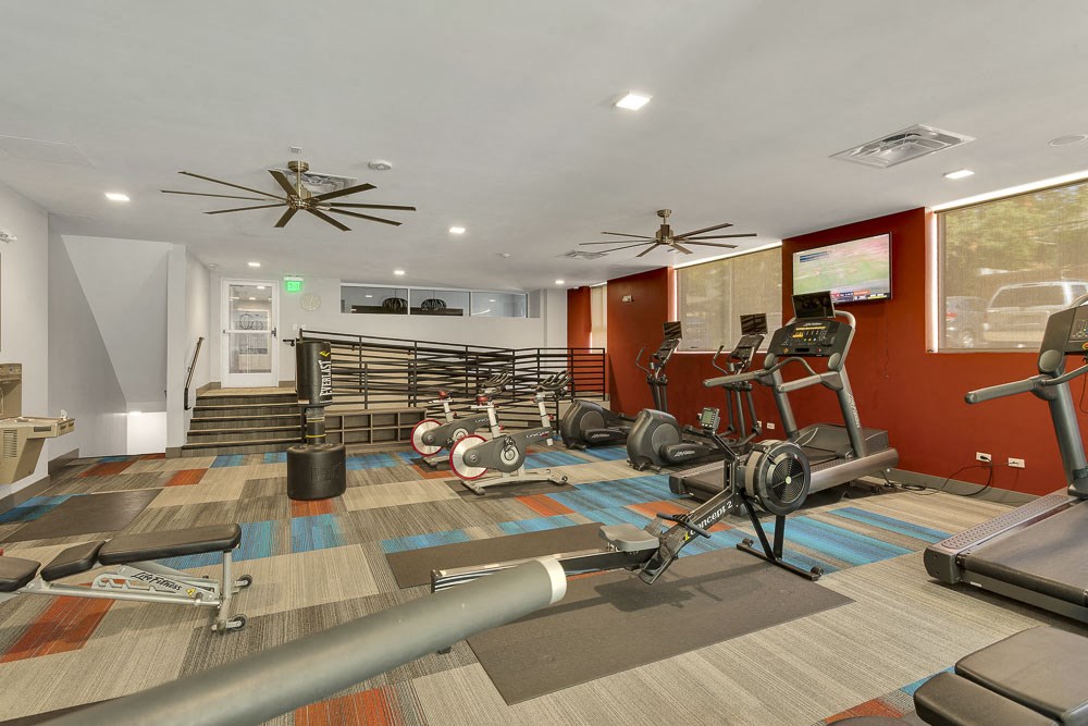 the gym in the owners suite is equipped with weights and cardio equipment