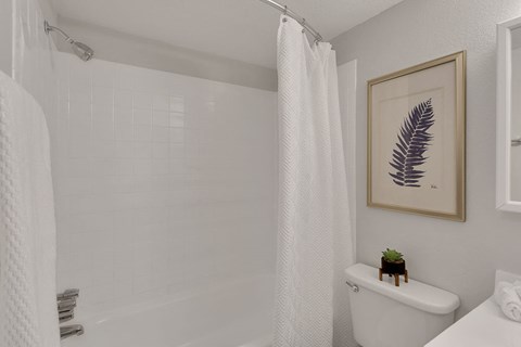 a bathroom with a shower curtain and a toilet