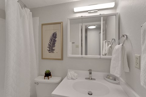 a white bathroom with a sink and a mirror