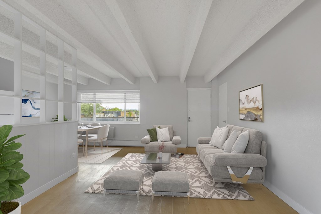 a living room with a couch and a chair and a rug