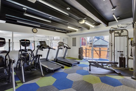 A gym with a variety of equipment including treadmills, stationary bikes, and weight machines.