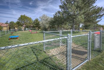 On-Site Dog Park at Vizcaya Hilltop Apartments, Reno, NV, 89523