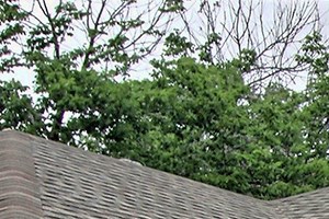 Waco Tx Apartments For Rent Rentcaf 233