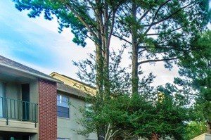 Pine Knoll Apartments 2019 Toler Rd Longview Tx Rentcaf 233