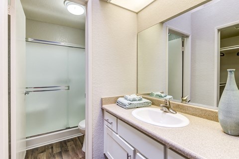 Full bath at Aliso Creek, Aliso Viejo