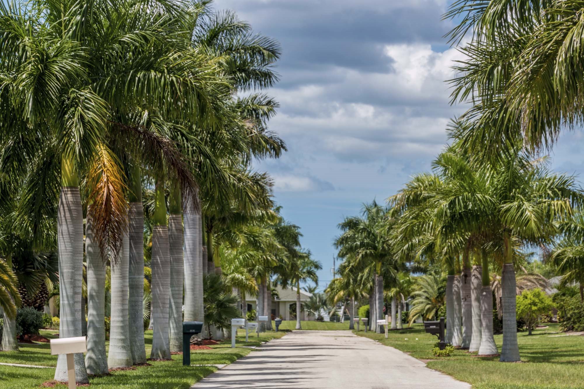 Plant City Fl Apartments Woodridge Beautiful Gated Entry At Woodbridge Plant City Florida