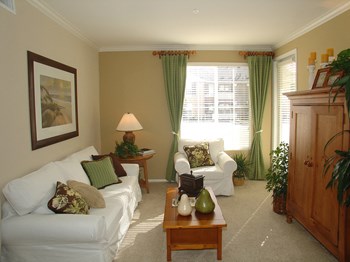 40140 Village Road 1-3 Beds Apartment for Rent - Photo Gallery 6