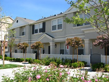 40140 Village Road 1-3 Beds Apartment for Rent - Photo Gallery 5