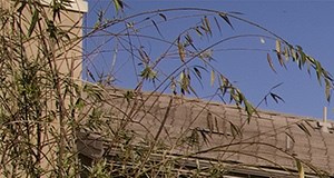 The Reserve at 4S Ranch | Apartments in San Diego, CA