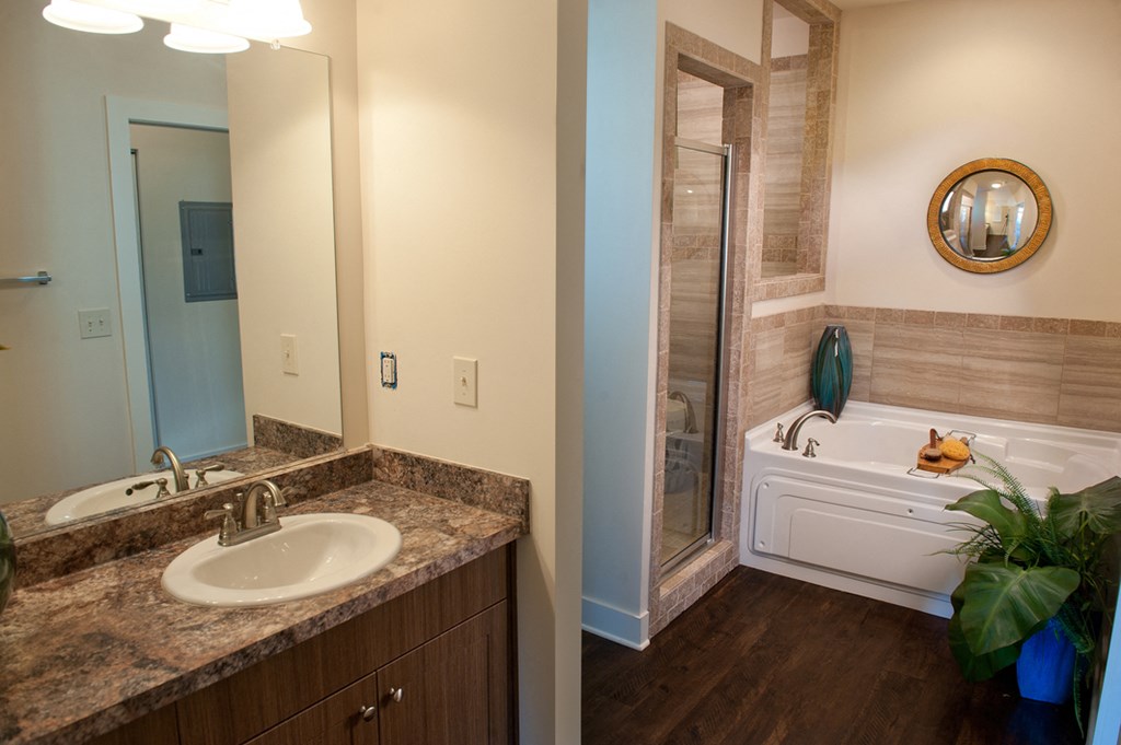 a bathroom with a sink and a tub and a shower
