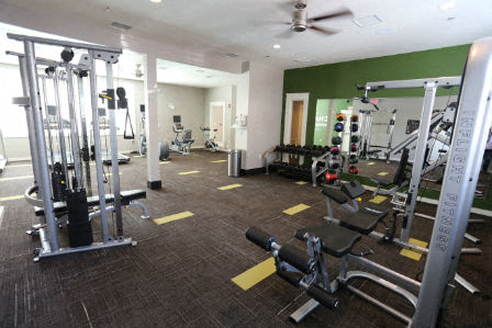 a gym with a lot of weights and other equipment